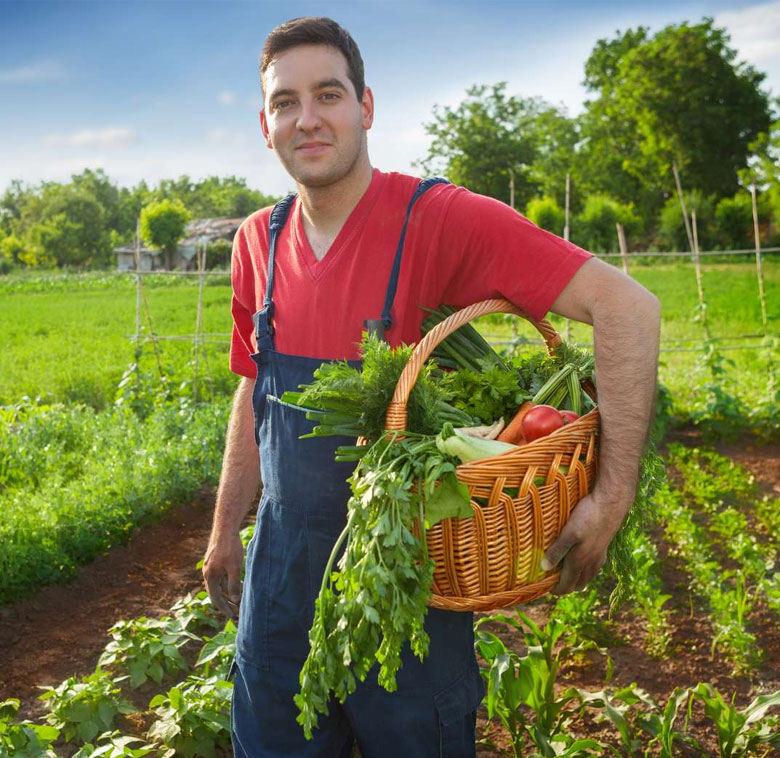 Construire une agriculture biologique