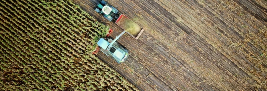 champs agricole