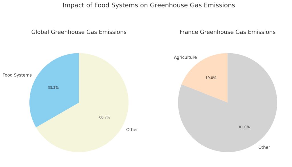 Les impacts environnementaux de la production alimentaire